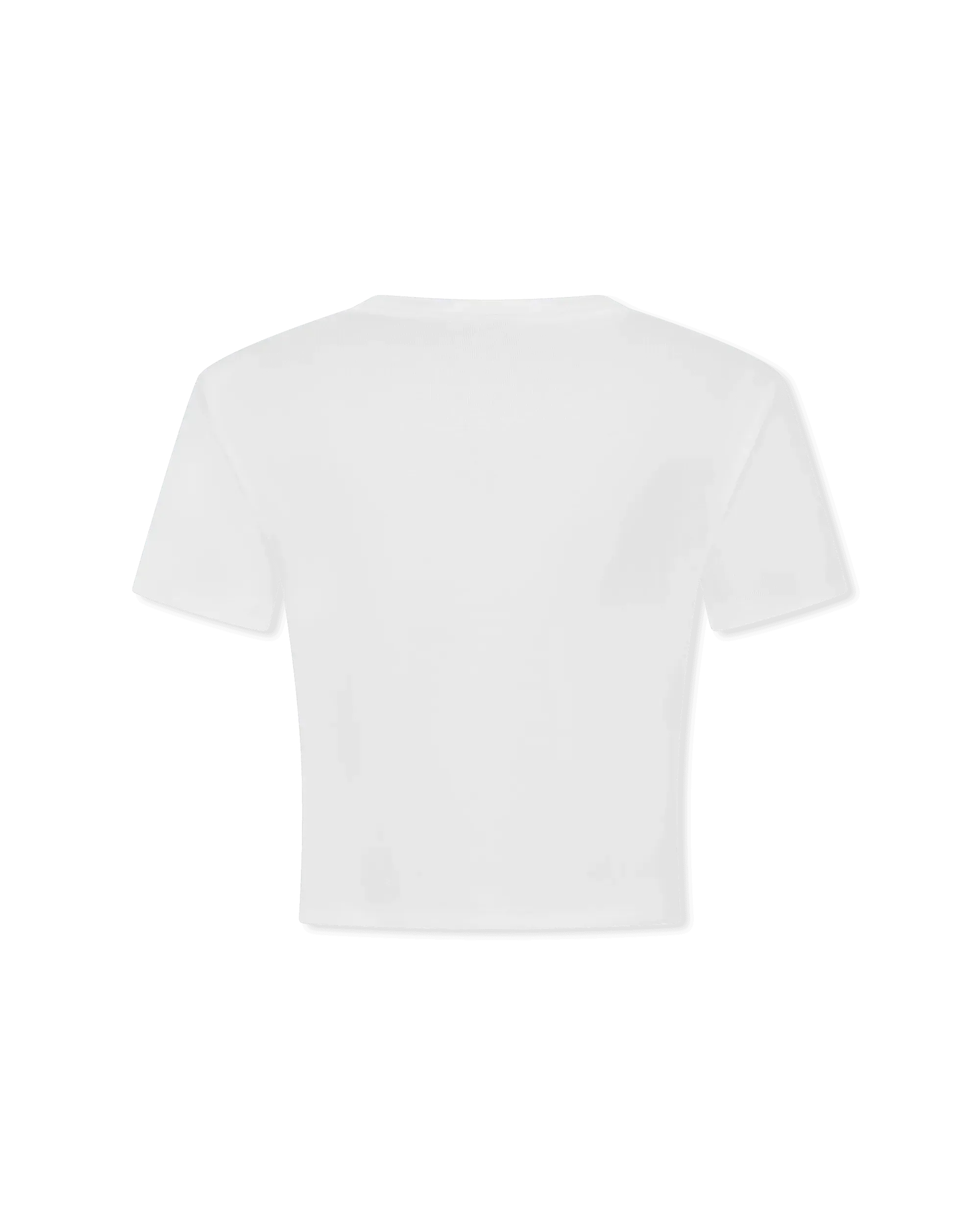 Delanor Cropped T-Shirt