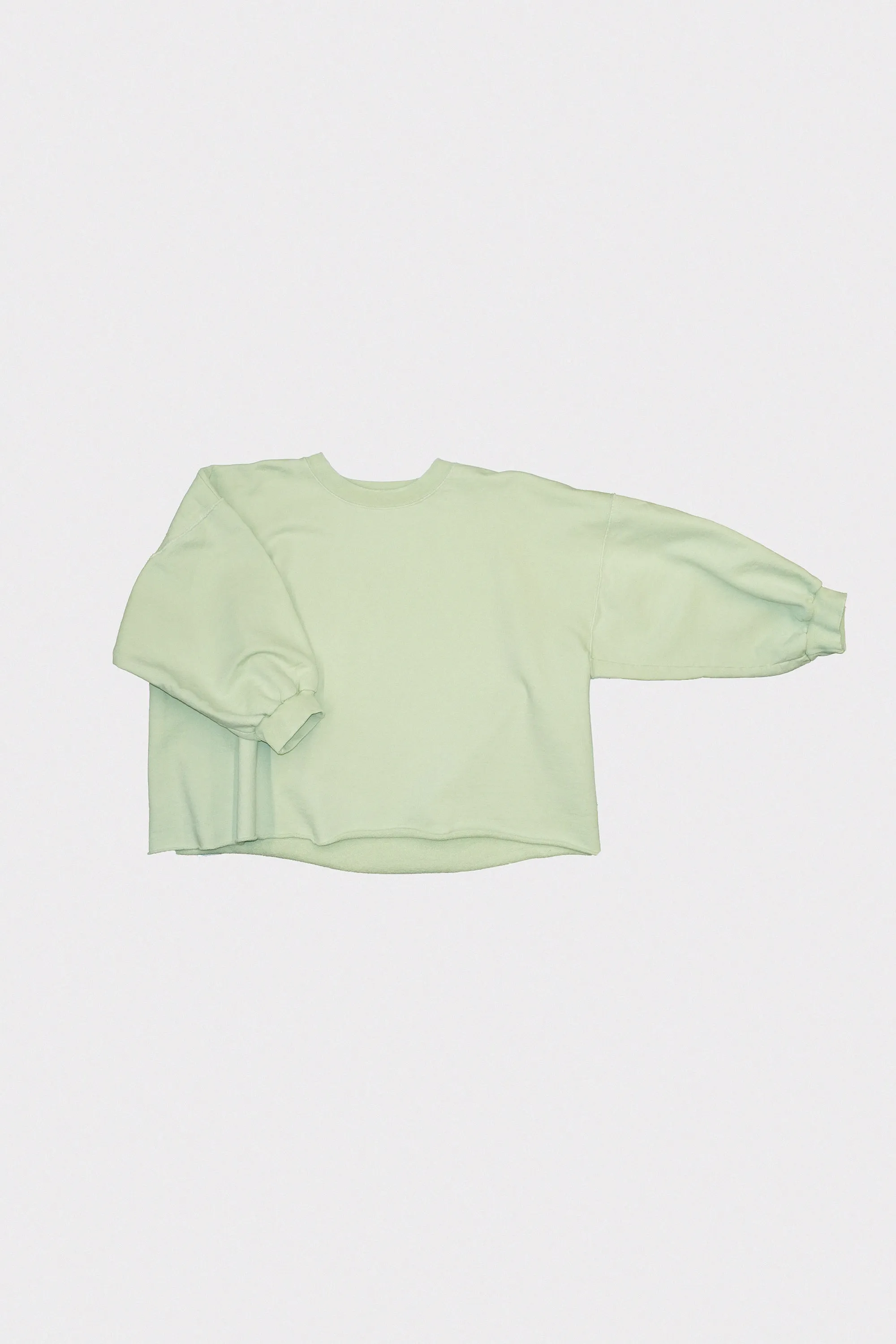Fond Sweatshirt in Mint