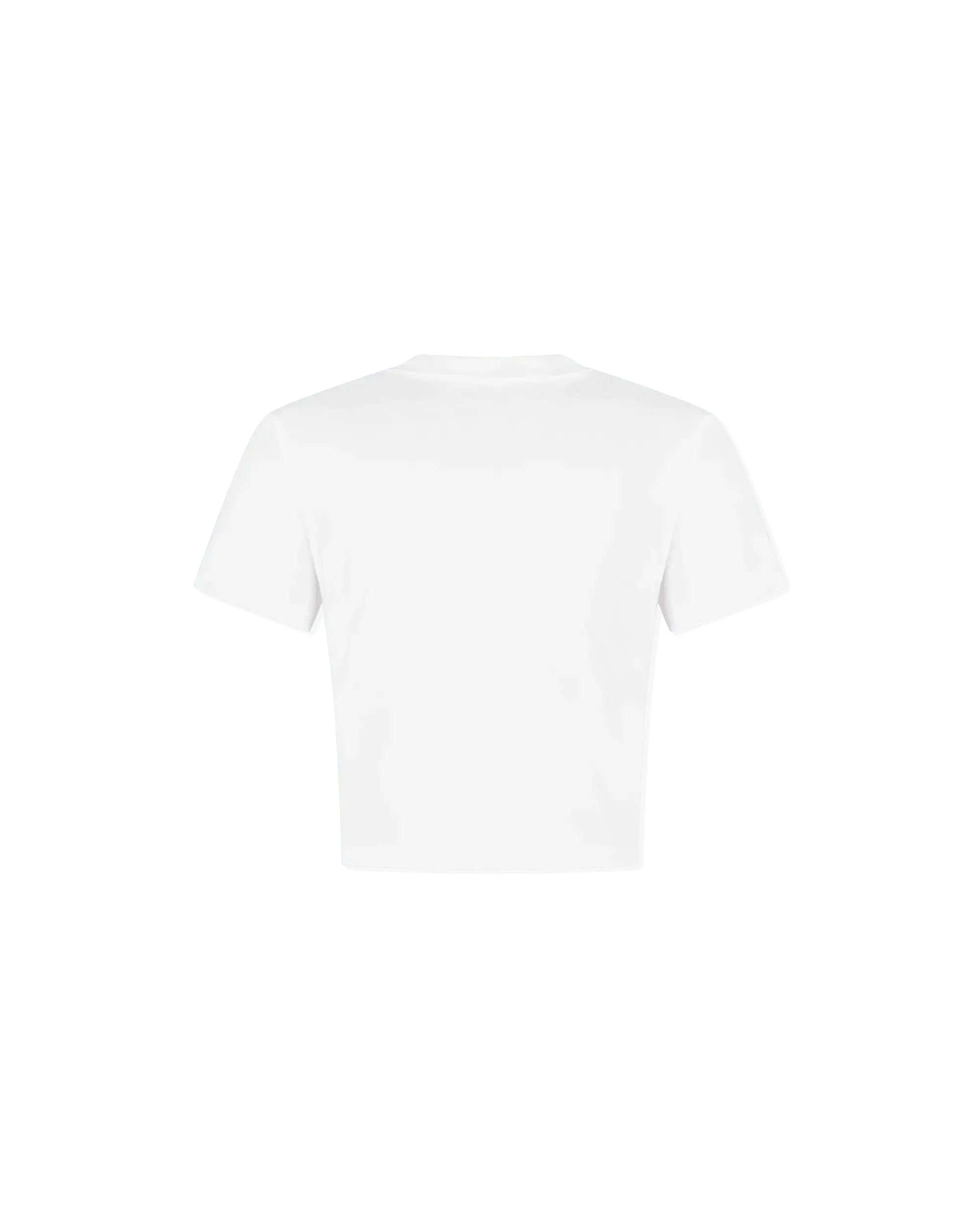 Glitter V-Emblem Cropped T-Shirt